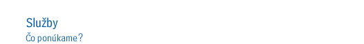 Slu�by - �o pon�kame